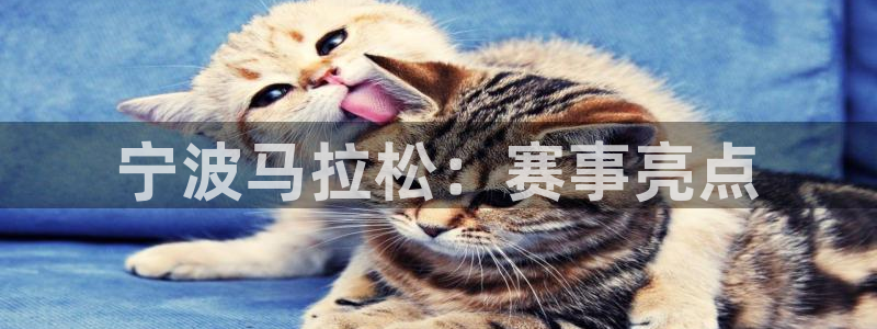 蓝鲸体育直播手机版下载