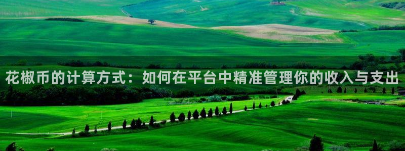 蓝鲸app直播：花椒币的计算方式：如何在平台中精准管理你的收入与支出