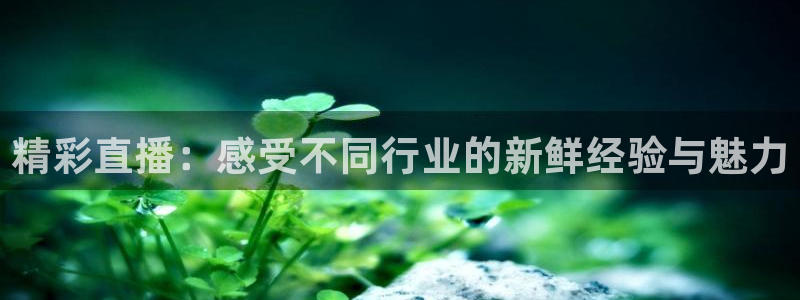 蓝鲸直播软件下载：精彩直播：感受不同行业的新鲜经验与魅力